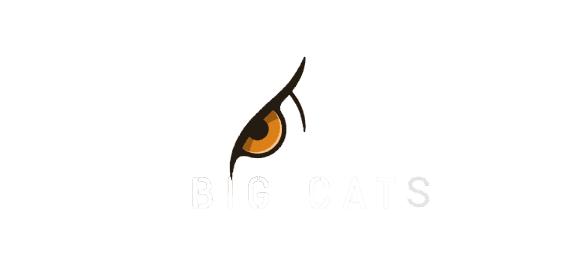 BIG CATS